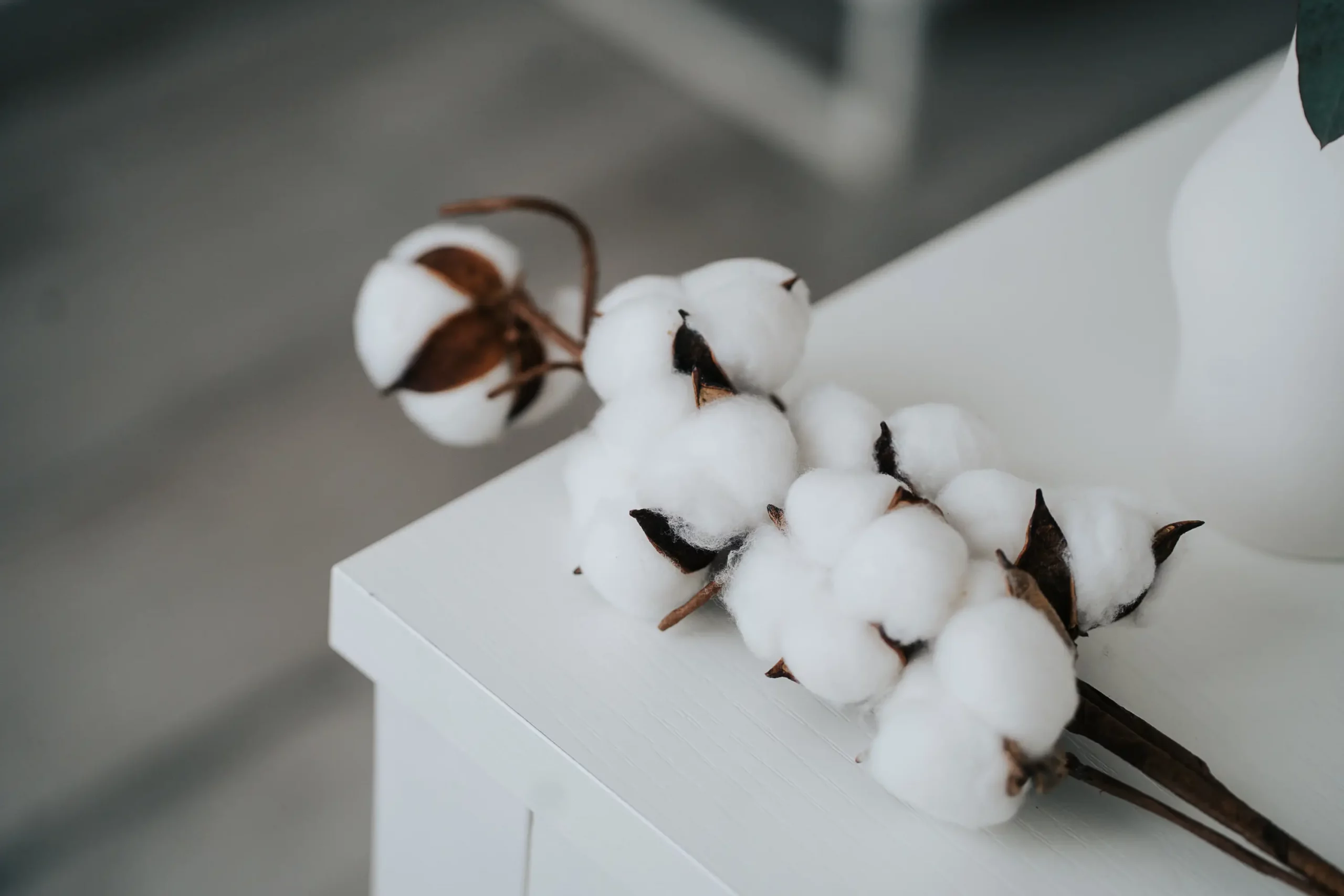 Consulenza benessere clienti corpo
