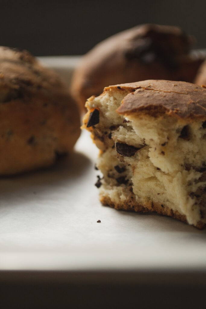 pangoccioli vegani 2